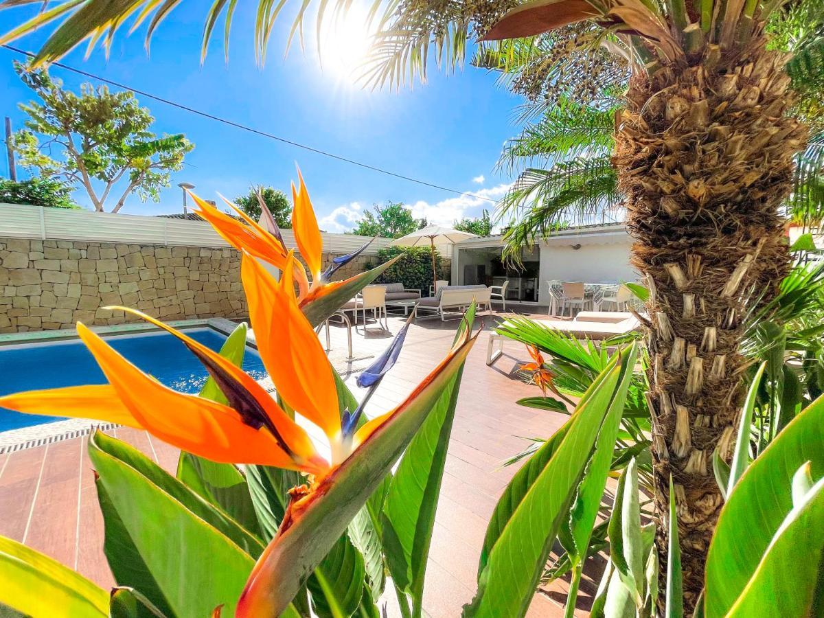Villa Haygon Private Heated Pool, Bbq & Sauna San Vicente Raspeig Exterior photo