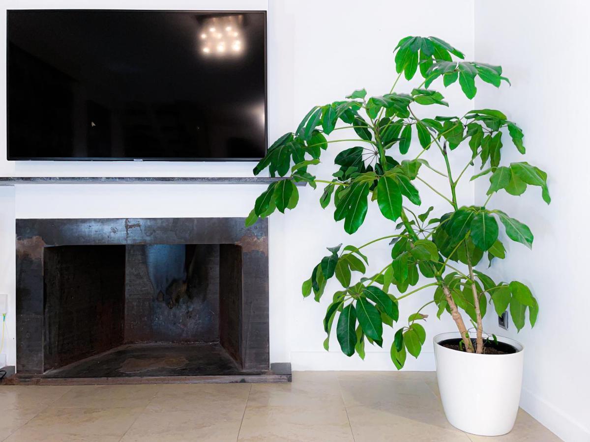 Villa Haygon Private Heated Pool, Bbq & Sauna San Vicente Raspeig Exterior photo